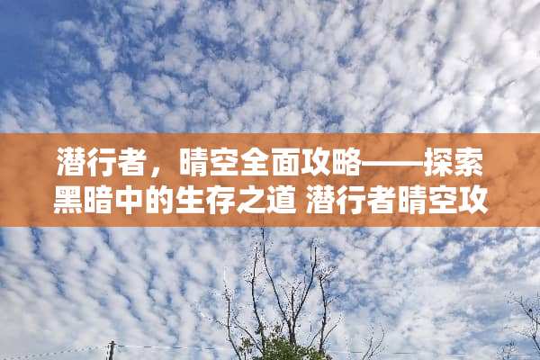 潜行者，晴空全面攻略——探索黑暗中的生存之道 潜行者晴空攻略