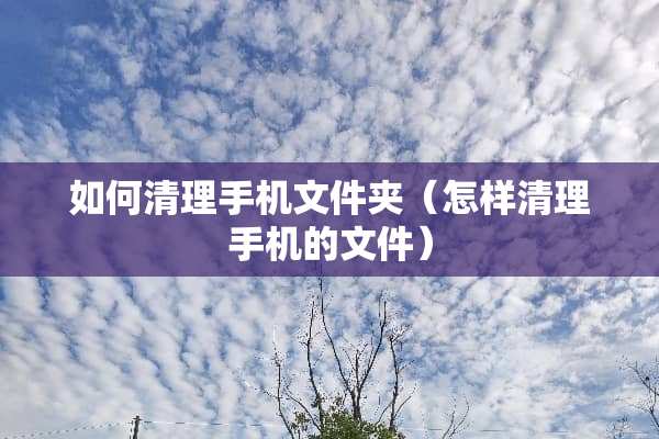如何清理手机文件夹(怎样清理手机的文件) 如何清理手机文件夹(怎样清理手机的文件)