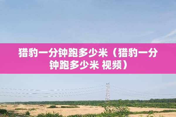 **一分钟跑多少米（**一分钟跑多少米 视频）