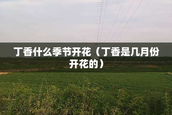 **什么季节开花（**是几月份开花的）