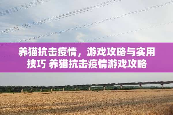 养猫抗击疫情，游戏攻略与实用技巧 养猫抗击疫情游戏攻略
