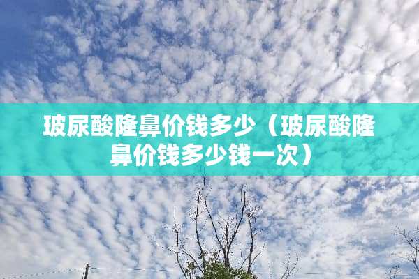 玻尿酸隆鼻价钱多少（玻尿酸隆鼻价钱多少钱一次）