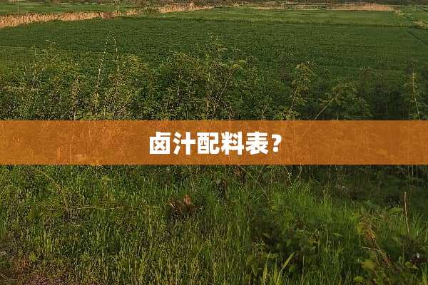 卤汁配料表？