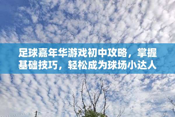 足球嘉年华游戏初中攻略，掌握基础技巧，轻松成为球场小达人 足球嘉年华游戏初中攻略