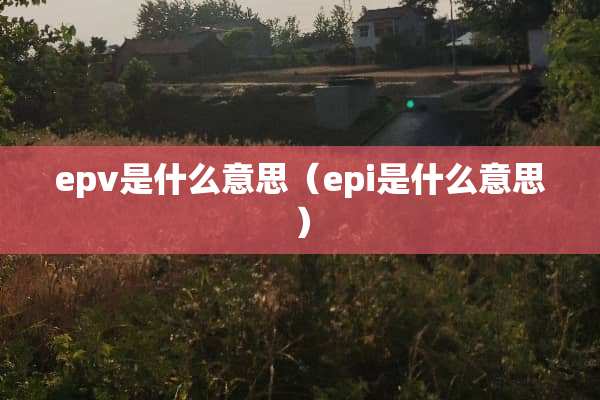 epv是什么意思（epi是什么意思）