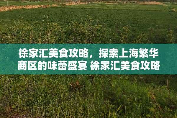 徐家汇美食攻略，探索上海繁华商区的味蕾盛宴 徐家汇美食攻略