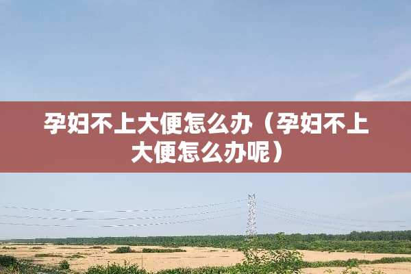 孕妇不上大便怎么办(孕妇不上大便怎么办呢) 孕妇不上大便怎么办(孕妇不上大便怎么办呢)