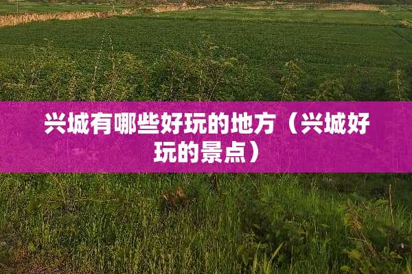 兴城有哪些好玩的地方(兴城好玩的景点) 兴城有哪些好玩的地方(兴城好玩的景点)