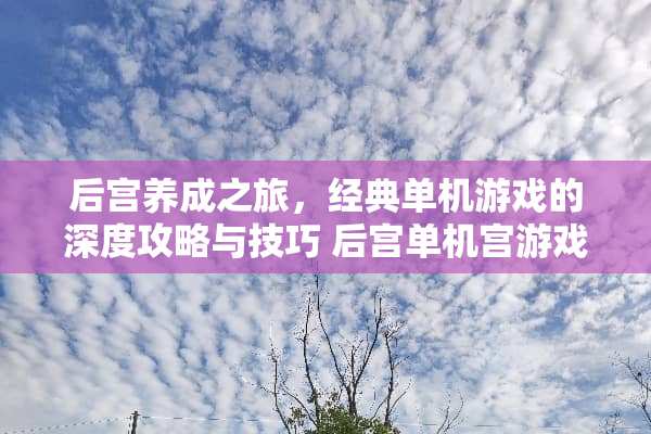 后宫养成之旅,经典单机游戏的深度攻略与技巧 后宫单机宫游戏攻略 后宫养成之旅,经典单机游戏的深度攻略与技巧 后宫单机宫游戏攻略
