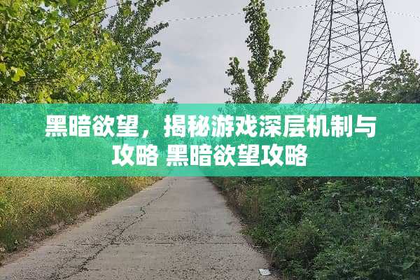 黑暗**，揭秘游戏深层机制与攻略 黑暗**攻略