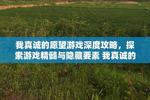 我真诚的愿望游戏深度攻略，探索游戏精髓与隐藏要素 我真诚的愿望攻略游戏