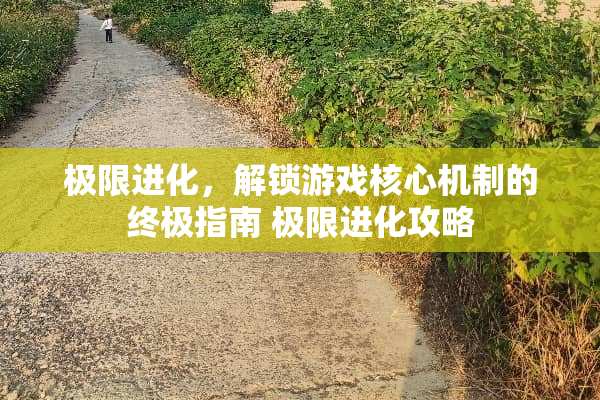极限进化,解锁游戏核心机制的终极指南 极限进化攻略 极限进化,解锁游戏核心机制的终极指南 极限进化攻略