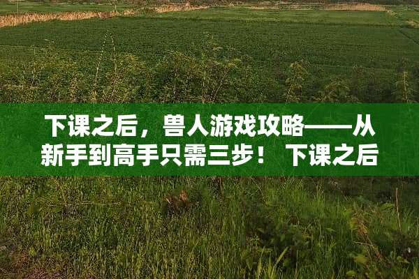 下课之后,兽人游戏攻略——从新手到高手只需三步! 下课之后兽人游戏攻略 下课之后,兽人游戏攻略——从新手到高手只需三步! 下课之后兽人游戏攻略