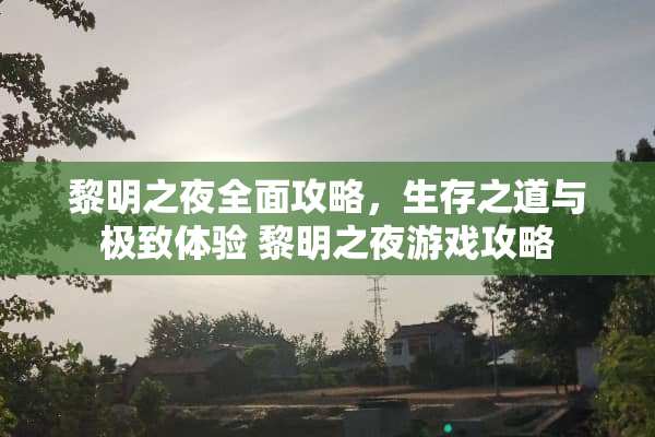 黎明之夜全面攻略,生存之道与极致体验 黎明之夜游戏攻略 黎明之夜全面攻略,生存之道与极致体验 黎明之夜游戏攻略