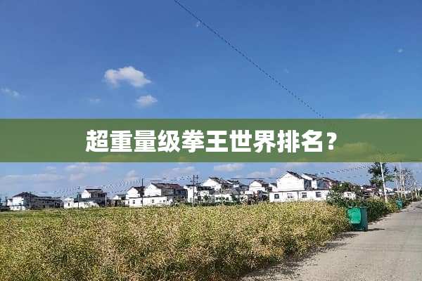 超重量级拳王世界排名？