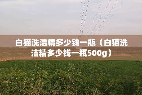 白猫洗洁精多少钱一瓶(白猫洗洁精多少钱一瓶500g) 白猫洗洁精多少钱一瓶(白猫洗洁精多少钱一瓶500g)