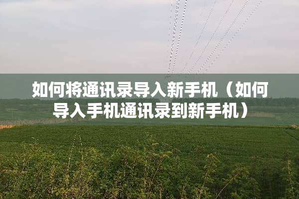 如何将通讯录导入新手机（如何导入手机通讯录到新手机）