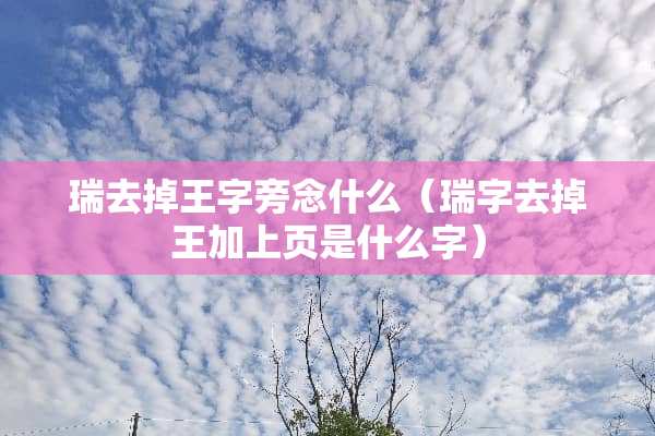 瑞去掉王字旁念什么（瑞字去掉王加上页是什么字）