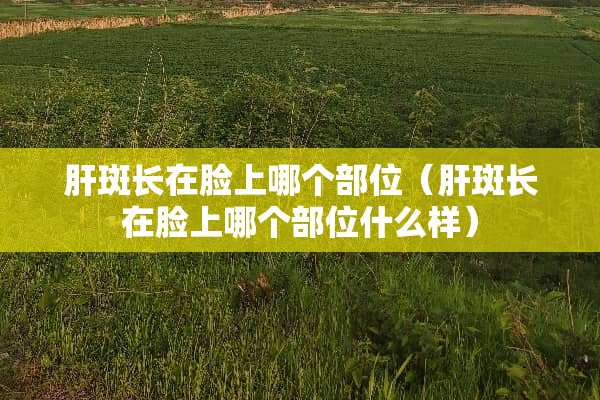 肝斑长在脸上哪个部位（肝斑长在脸上哪个部位什么样）