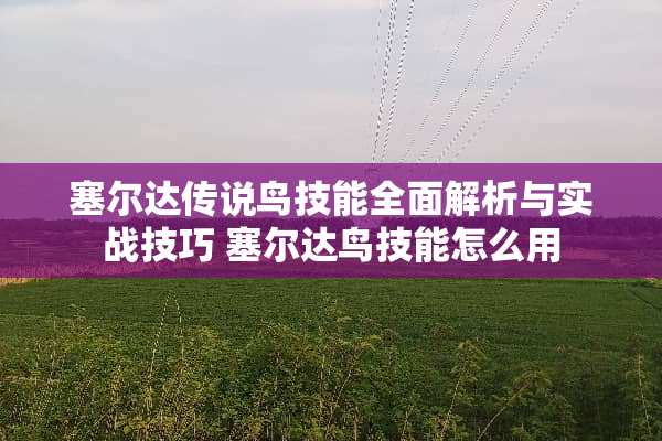 塞尔达传说鸟技能全面解析与实战技巧 塞尔达鸟技能怎么用