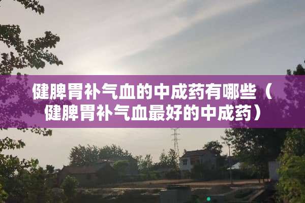健脾胃补气血的中成药有哪些（健脾胃补气血最好的中成药）