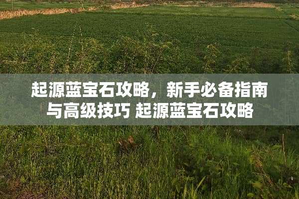 起源蓝宝石攻略，新手必备指南与高级技巧 起源蓝宝石攻略