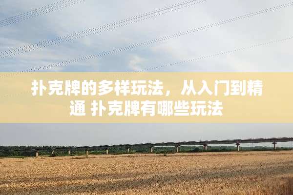 **牌的多样玩法，从入门到精通**牌有哪些玩法