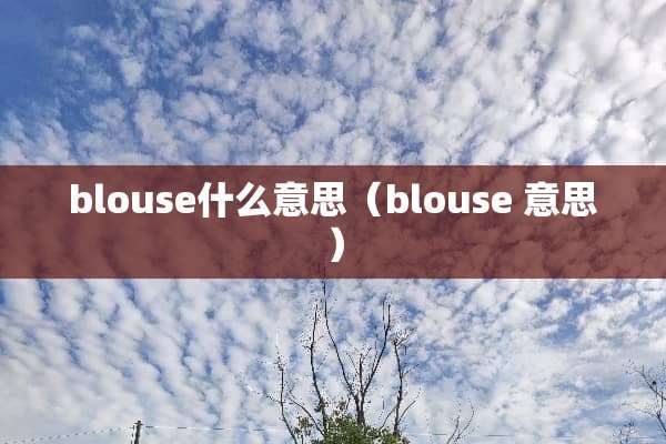 blouse什么意思（blouse 意思）