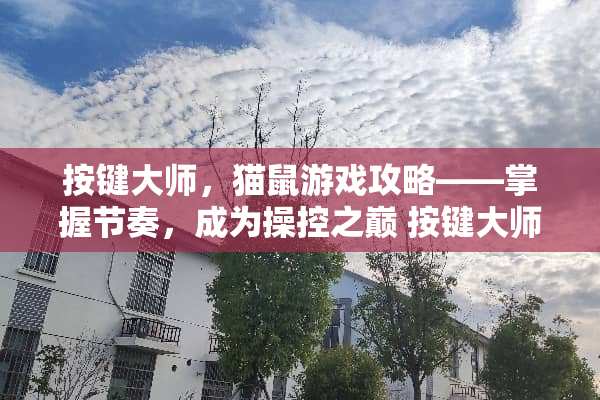 按键大师，猫鼠游戏攻略——掌握节奏，成为操控之巅 按键大师猫鼠游戏攻略