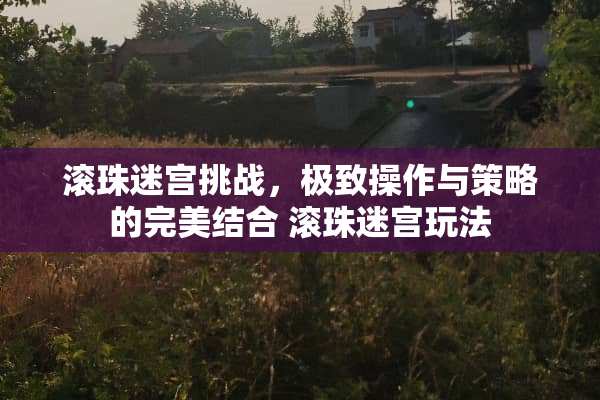 滚珠迷宫挑战，极致操作与策略的完美结合 滚珠迷宫玩法