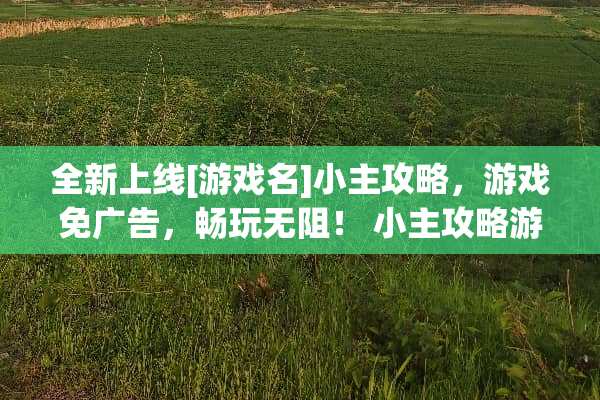 全新上线[游戏名]小主攻略，游戏免广告，畅玩无阻！ 小主攻略游戏免广告