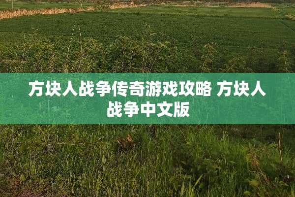 方块人战争传奇游戏攻略 方块人战争中文版