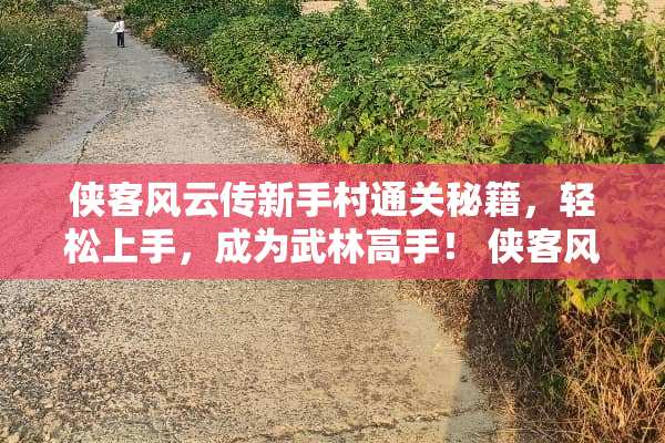 侠客风云传新手村通关秘籍，轻松上手，成为武林高手！ 侠客风云传新手村攻略