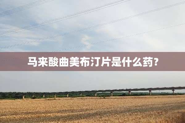 马来酸曲美布汀片是什么药？