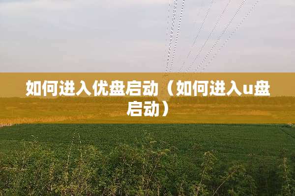 如何进入优盘启动（如何进入u盘启动）