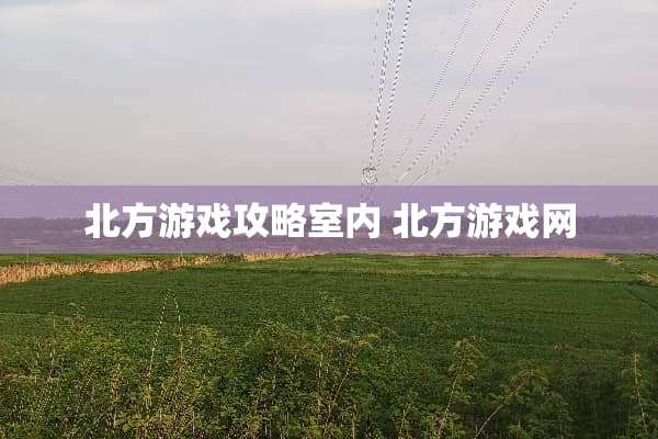 北方游戏攻略室内 北方游戏网
