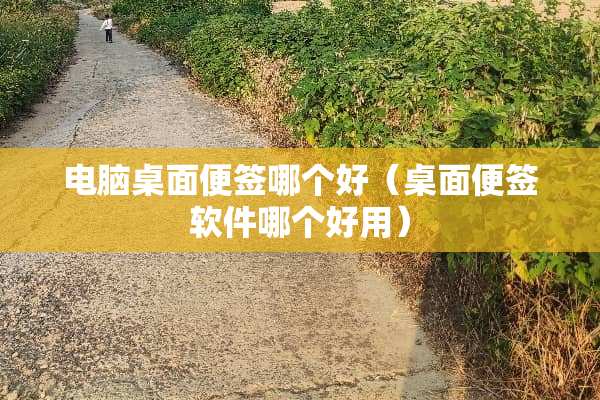 电脑桌面便签哪个好（桌面便签软件哪个好用）