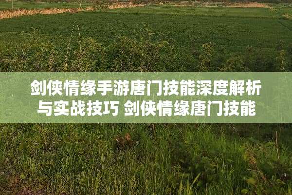 剑侠情缘手游唐门技能深度解析与实战技巧 剑侠情缘唐门技能