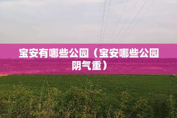 宝安有哪些公园（宝安哪些公园*气重）