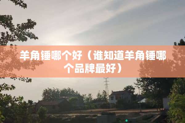 羊角锤哪个好（谁知道羊角锤哪个品牌最好）