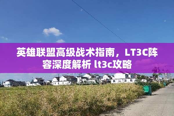 英雄联盟高级战术指南，LT3C阵容深度解析 lt3c攻略