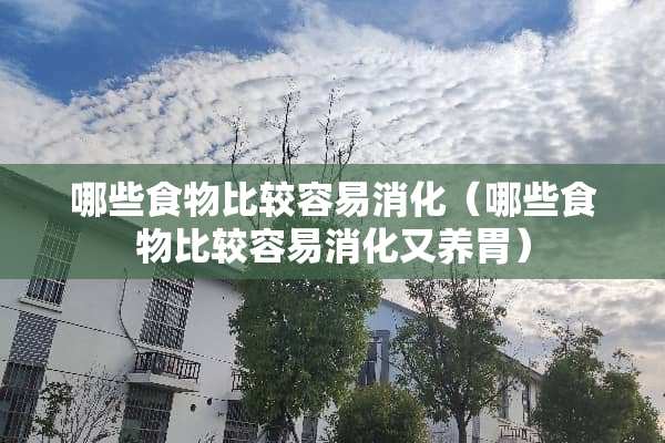 哪些食物比较容易消化（哪些食物比较容易消化又养胃）