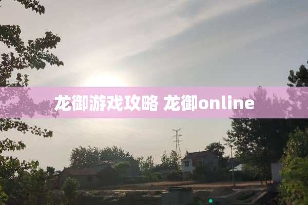 龙御游戏攻略 龙御online