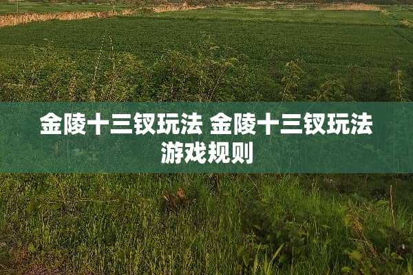 金陵十三钗玩法 金陵十三钗玩法游戏规则