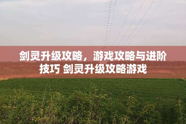 剑灵升级攻略，游戏攻略与进阶技巧 剑灵升级攻略游戏