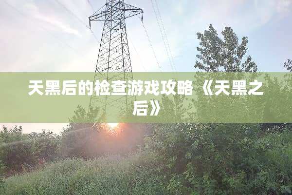 天黑后的检查游戏攻略 《天黑之后》