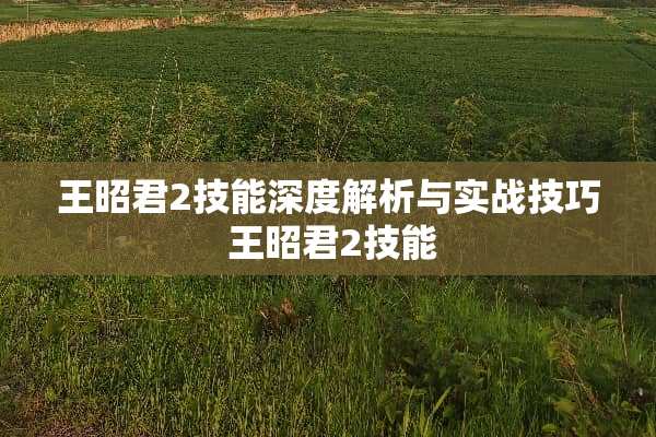 王昭君2技能深度解析与实战技巧 王昭君2技能