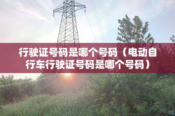 行驶证号码是哪个号码（电动自行车行驶证号码是哪个号码）