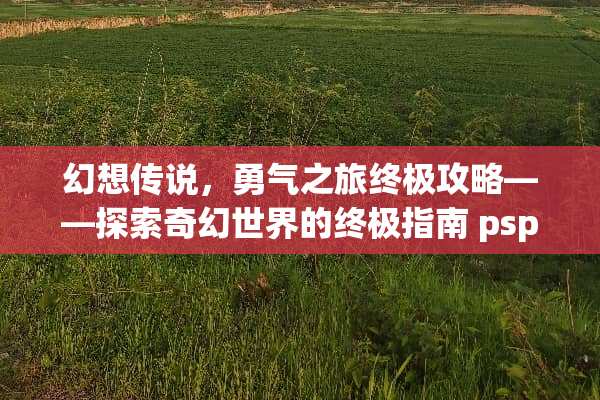 幻想传说，勇气之旅终极攻略——探索奇幻世界的终极指南 psp幻想传说攻略