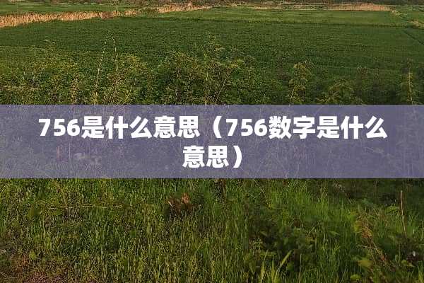 756是什么意思（756数字是什么意思）